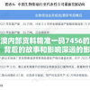 揭秘新澳内部资料精准一码7456的神秘面纱：背后的故事和影响深远的影响。