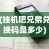 (挂机吧兄弟兑换码是多少)挂机吧兄弟官职等级表详解及常见问题解答