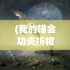 (我的喵会功夫折相思下载)我的喵会功夫折相思，猫咪的奇妙世界与人的情感纽带