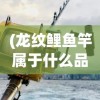 (远征将士攻略大全)远征将士攻略大全及常见问题解答