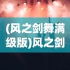 (风之剑舞满级版)风之剑舞烟花庆典活动，一场璀璨的艺术盛宴