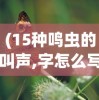(暴走枪神动漫免费观看)暴走枪神动漫，热血枪战与奇幻世界的交融