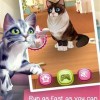 猫猫喵喵内置功能菜单下载-猫猫喵喵下载安卓v.2.57