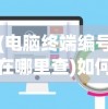 (电脑终端编号在哪里查)如何查看电脑终端机器编号，详细步骤与常见问答