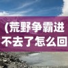 (荒野争霸进不去了怎么回事)荒野争霸进不去了，问题解析与解决方案