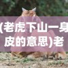 (老虎下山一身皮的意思)老虎下山一张皮背后的寓意与解读