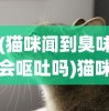 (猫咪闻到臭味会呕吐吗)猫咪闻到异味会引发呕吐吗，探究猫咪嗅觉与消化系统之间的关系