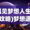 (遇见梦想人生游戏攻略)梦想遇见童话游戏全集，探寻奇幻游戏世界的宝藏