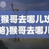 (猴哥去哪儿攻略)猴哥去哪儿，更新方式与最新动态解析