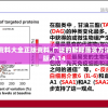 2023澳门资料大全正版资料,广泛的解释落实方法分析_省电版.4.14