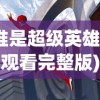 (谁是超级英雄免费观看完整版)谁是超级英雄，多元视角下的英雄解析