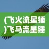 (飞火流星锤)飞马流星锤，古老武器的新生