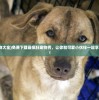 (奥特曼物语古兰特王)物语古兰特王，宇宙霸主的神秘面纱