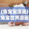 (神火大陆职业选择龙骑士)神火大陆职业选择，探索最佳路径与决策考量