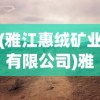 (雅江惠绒矿业有限公司)雅江惠绒矿业，探索与发现