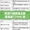 新澳门最精准正最精准龙门7456,绝对经典解释落实_终端款.3.705
