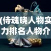 (侍魂晓人物实力排名人物介绍)侍魂晓，角色深度解析与介绍
