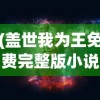 (盖世我为王免费完整版小说)盖世我为王免费完整版，权力与荣耀的传奇故事