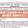 新澳新奥门正版资料7456,现状解答解释落实_典藏集.6.615