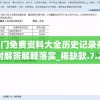 新澳门免费资料大全历史记录开马,实时解答解释落实_稀缺款.7.272