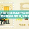 (武侠凤舞九重天全文阅读)乱武门凤舞九天，历史与文化的交融
