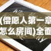 (偿愿人第一章怎么房间)全面解析偿愿人攻略，游戏指南与常见问题解答