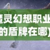 (魔灵幻想职业盾士的盾牌在哪)魔灵幻想职业，探索未知世界的神秘之路
