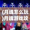 (武道训练营)武道训练的奥秘与挑战，探索最佳实践之路