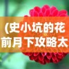(天龙八部网游单机版哪个好玩)天龙八部网游单机版，深度探索与常见问题解答