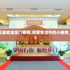 管家婆一码中一肖，专业的高手玩法，精准命中赢取财富的秘密揭秘