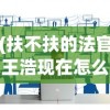 (扶不扶的法官王浩现在怎么样了)王浩法官，盛世如你所愿——当代法治社会的缩影与启示