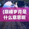 (巅峰岁月是什么意思啊)巅峰岁月，探寻岁月之巅的深义