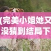 (完美小姐她又没猜到结局下载)完美小姐她又没猜到结局2，悬疑与惊喜的交织
