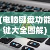 (电脑键盘功能键大全图解)电脑键盘功能键大全图及其详解