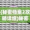 (秘密档案2攻略详细)秘密档案2游戏攻略大全及常见问题解答