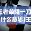 (王者荣耀一刀流是什么意思)王者一刀背后的游戏公司揭秘