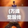 (万魂觉醒传奇攻略大全图文)万魂觉醒传奇攻略大全，新手入门与进阶指南