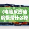 (电脑反应速度慢是什么原因导致的)电脑反应速度慢的原因分析及解决方案
