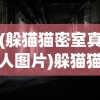 (躲猫猫密室真人图片)躲猫猫密室真人，密室逃脱的新体验