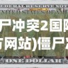 (僵尸冲突2国际服官方网站)僵尸冲突2国际服，全球玩家的生存挑战