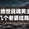 (绝世战魂男主几个老婆结局)绝世战魂男主的老婆数量之谜，深入解析与探讨