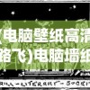 (电脑壁纸高清路飞)电脑墙纸图片大全高清路飞，探索与发现