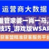 2024精准管家婆一肖一马,探索生活中的小技巧_游戏版WSAP.8.966