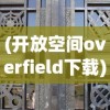 (开放空间overfield下载)开放空间Overfield，未来城市发展的多元视角与探索