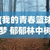 (我的青春篮球梦 郁郁林中树)我的青春篮球梦2，热血、挑战与成长