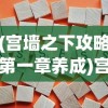 (宫墙之下攻略第一章养成)宫墙之下攻略，全面解析游戏关卡与策略