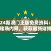 2024新澳门正版免费资料：解锁赌场内幕，获取最新赌博技巧和策略！