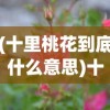 (十里桃花到底什么意思)十里桃花后面一句，绽放的美丽传奇