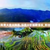 新澳资料免费大全火凤凰,深度分析解释落实_粉丝版8.462