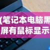 (三国群英风云录 小说)群英风华录，多维度视角下的深度评价